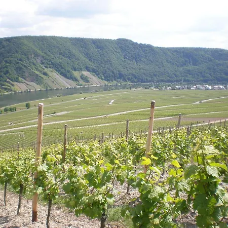 Weingut Mertes * Minheim